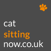Cat Now Members Profile | Cat Sitting Now